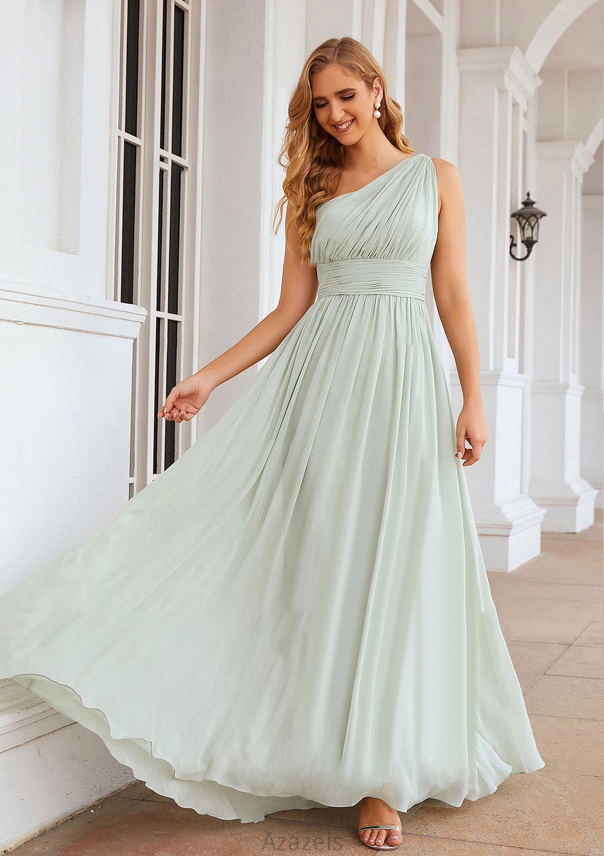 A-line One-Shoulder Sleeveless Chiffon Long/Floor-Length Bridesmaid Dresses With Pleated Priscilla DFP0025382