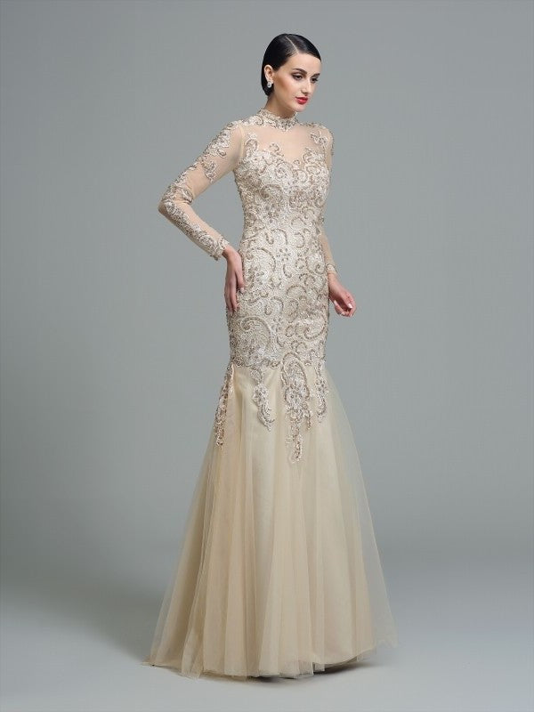 Sheath/Column High Neck Applique Long Sleeves Long Net Dresses DFP0001989