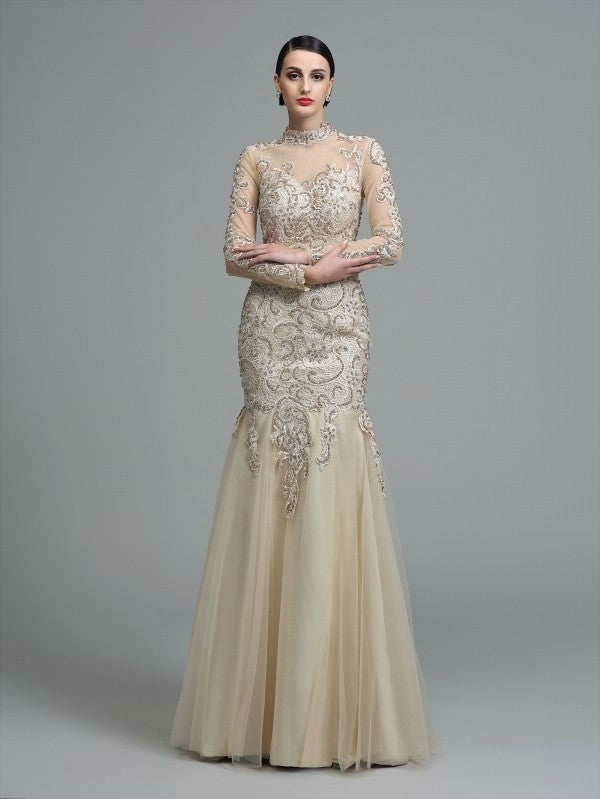 Sheath/Column High Neck Applique Long Sleeves Long Net Dresses DFP0001989