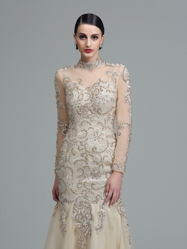 Sheath/Column High Neck Applique Long Sleeves Long Net Dresses DFP0001989